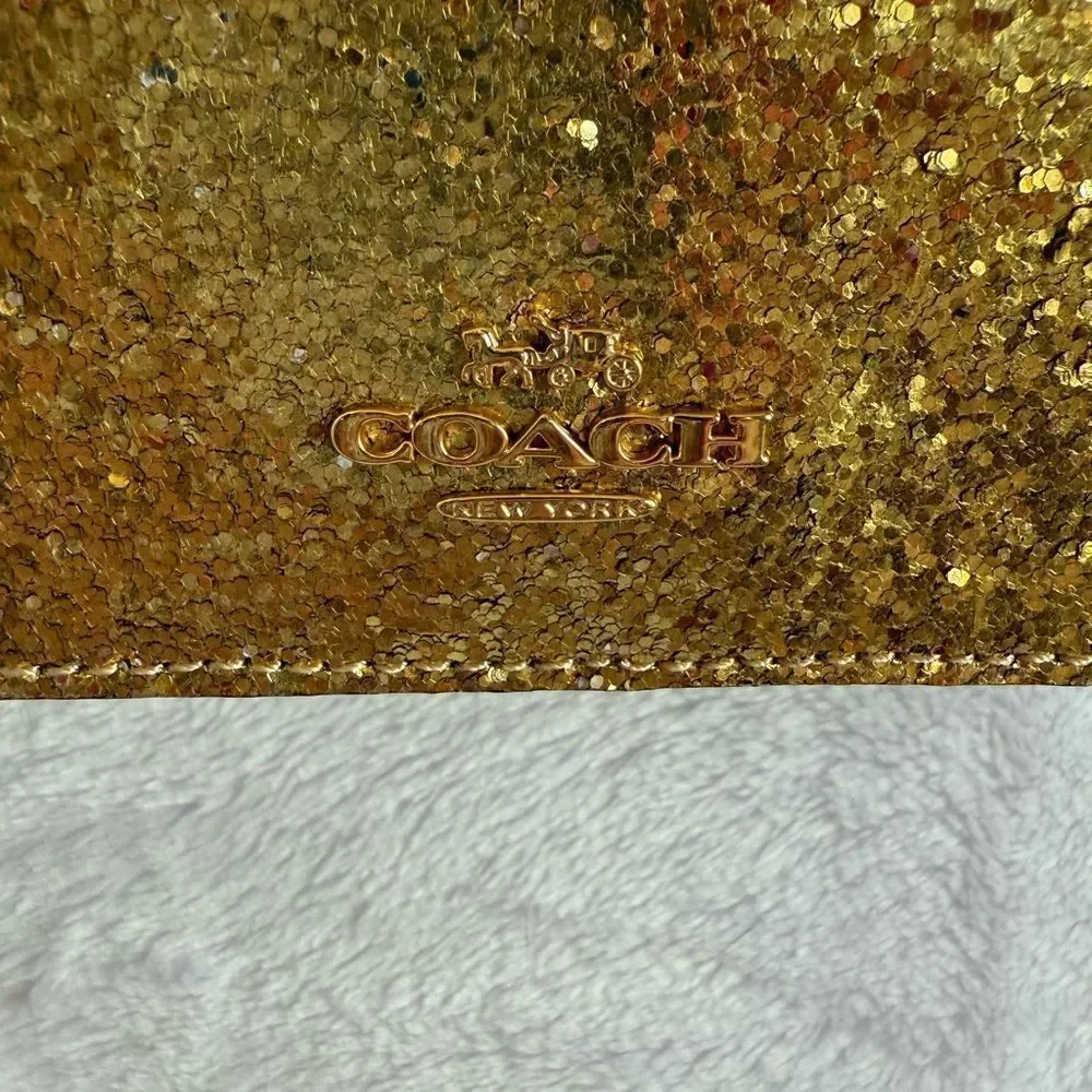 Coach Hayden Foldover Crossbody Clutch